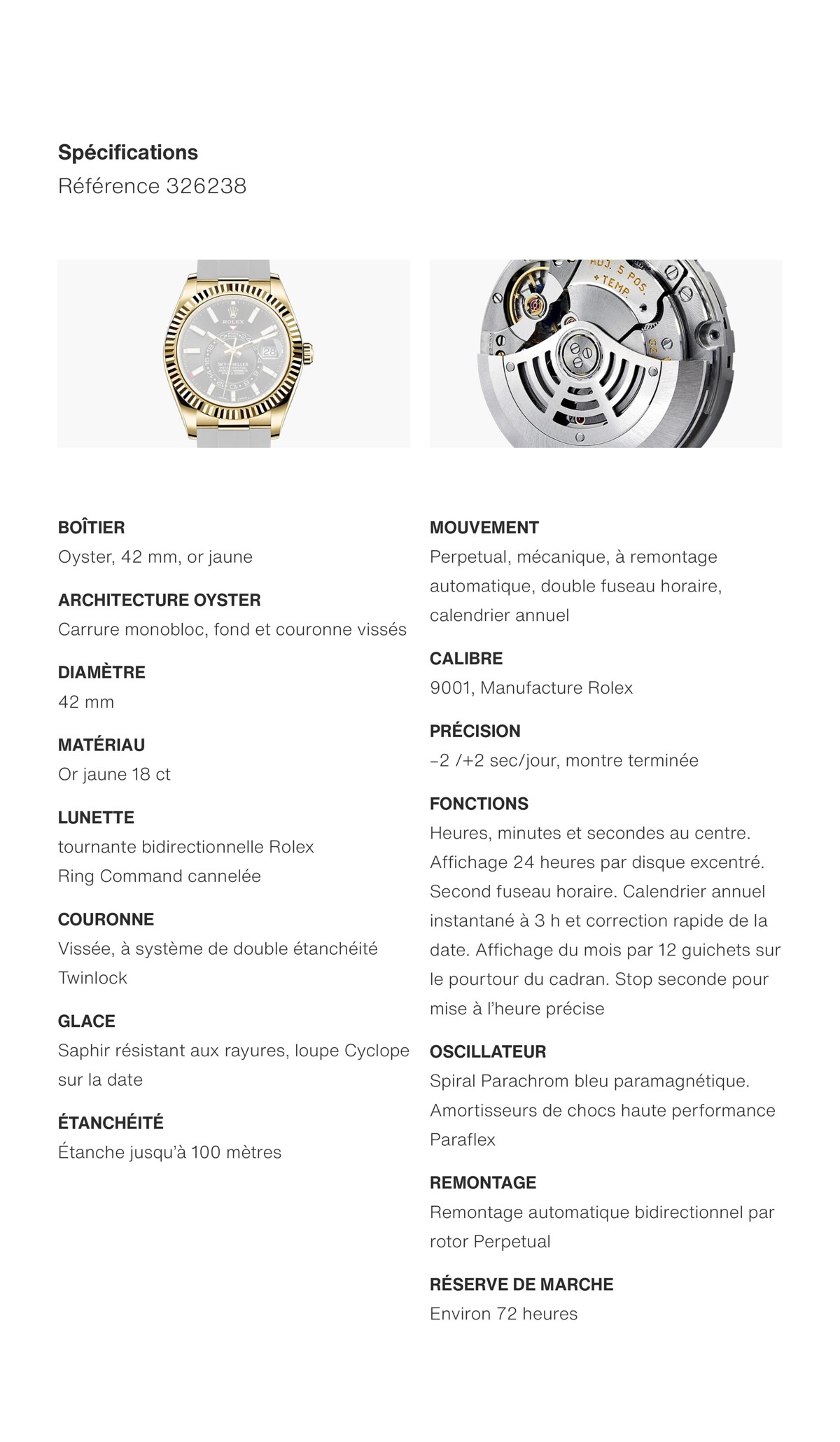 Catalogue Rolex Sky Dweller, page 00010
