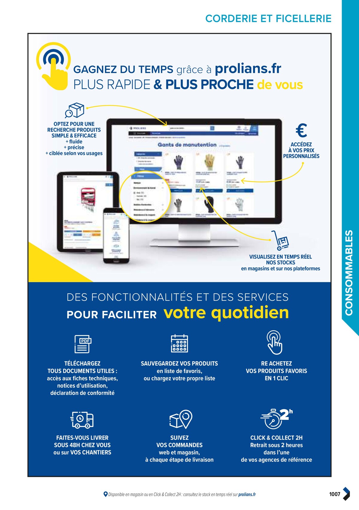 Catalogue PRO&DISPO L'OFFRE 100% STOCK DE PROLIANS, page 01009