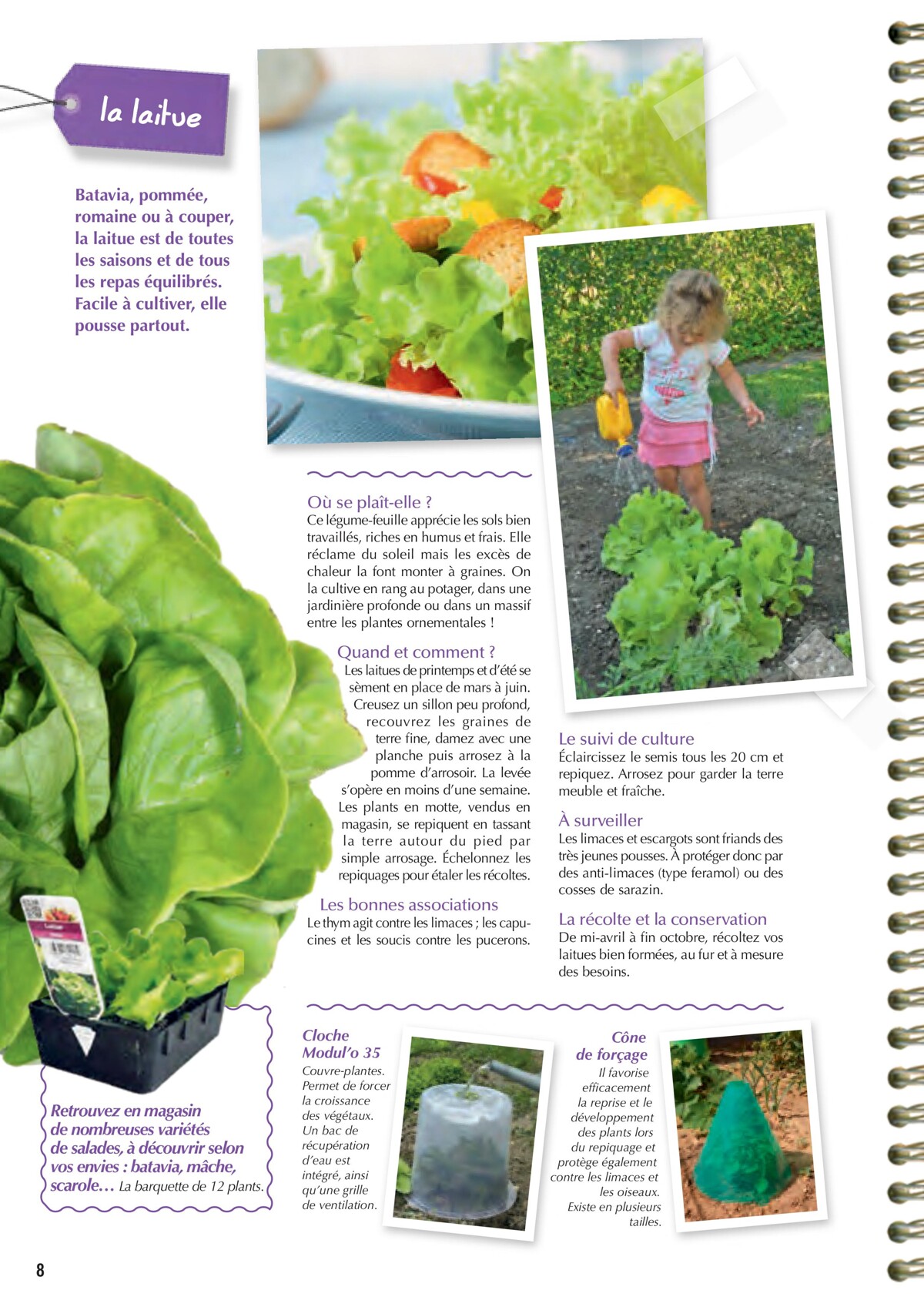 Catalogue Point Vert- Le Guide du potager, page 00008