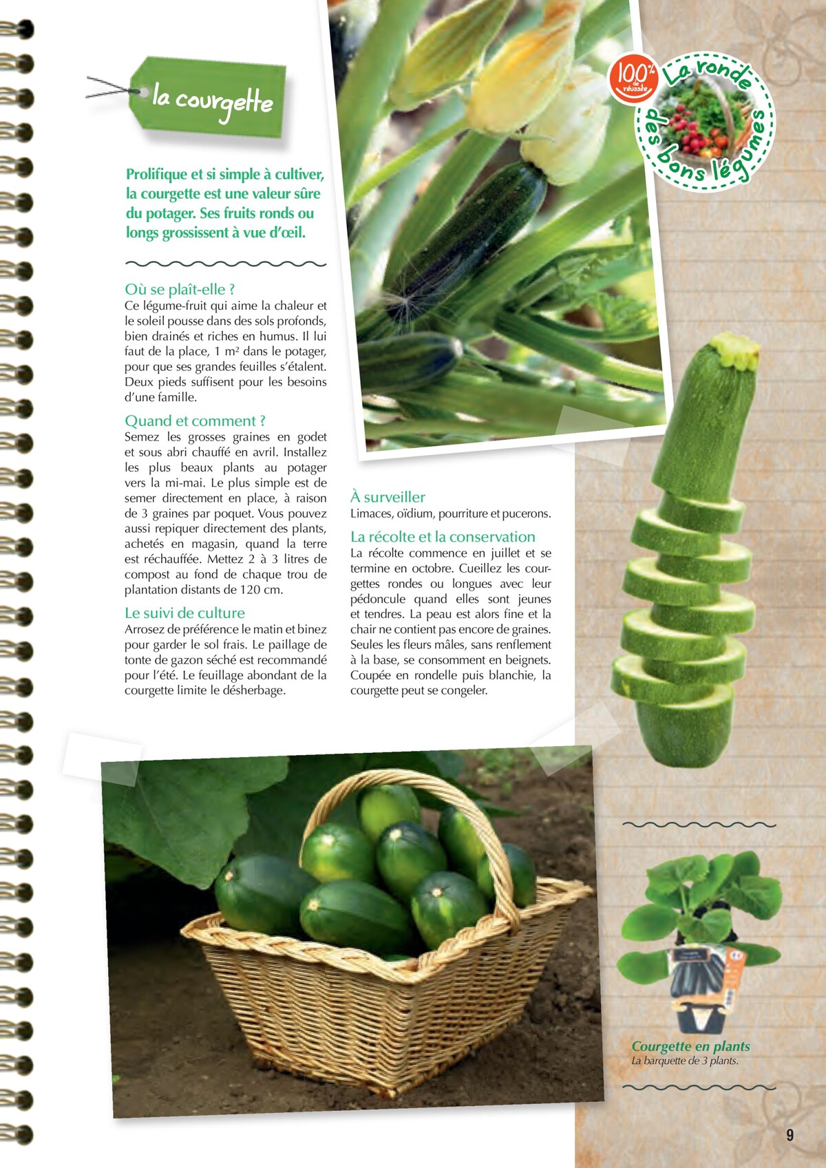 Catalogue Point Vert- Le Guide du potager, page 00009