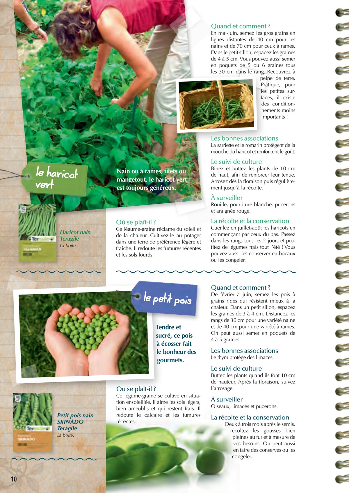 Catalogue Point Vert- Le Guide du potager, page 00010