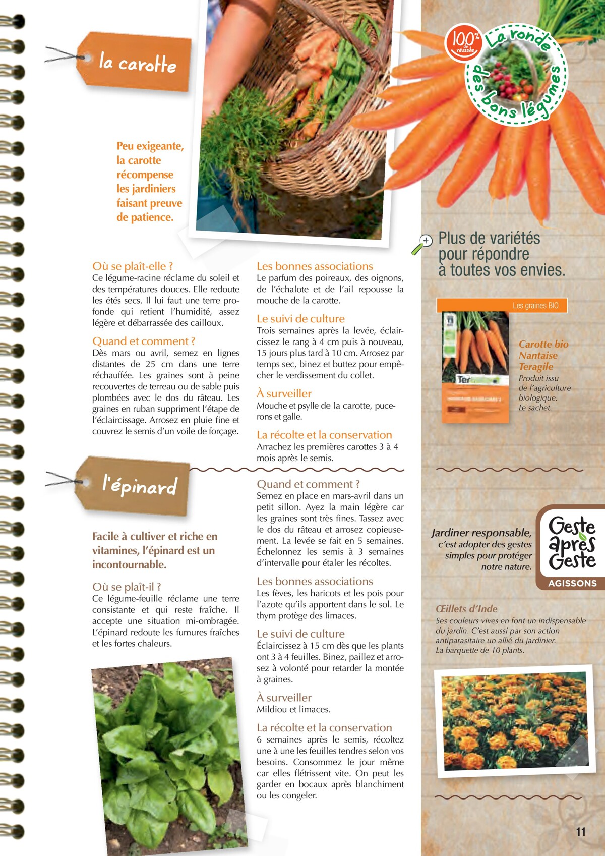 Catalogue Point Vert- Le Guide du potager, page 00011