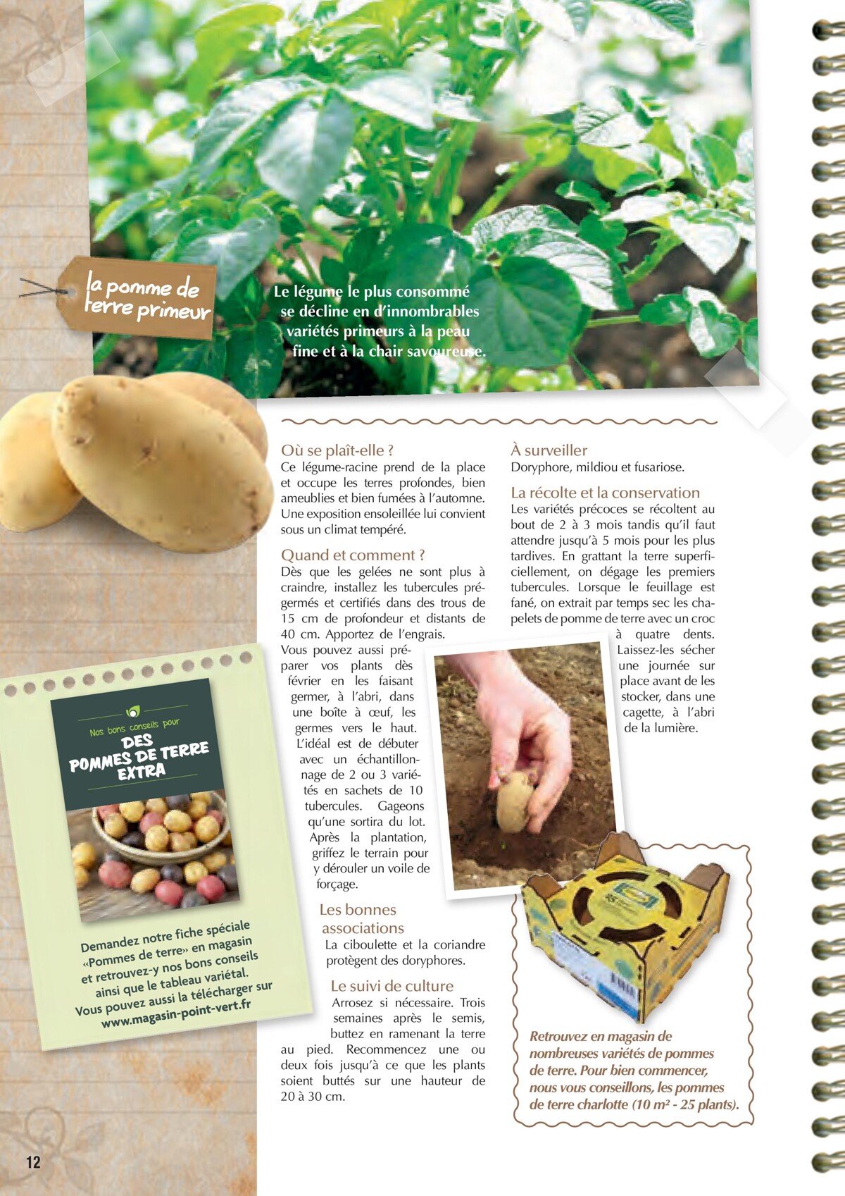 Catalogue Point Vert- Le Guide du potager, page 00012