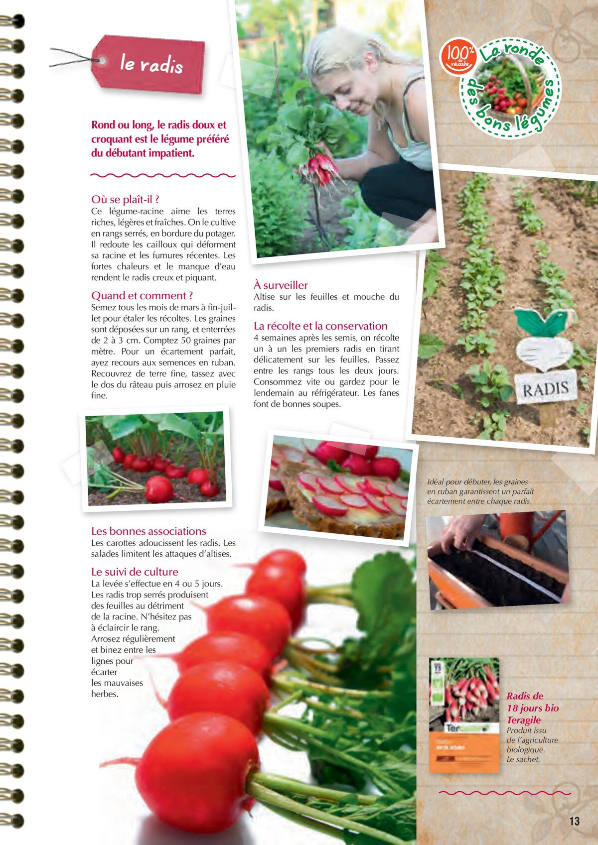Catalogue Point Vert- Le Guide du potager, page 00013