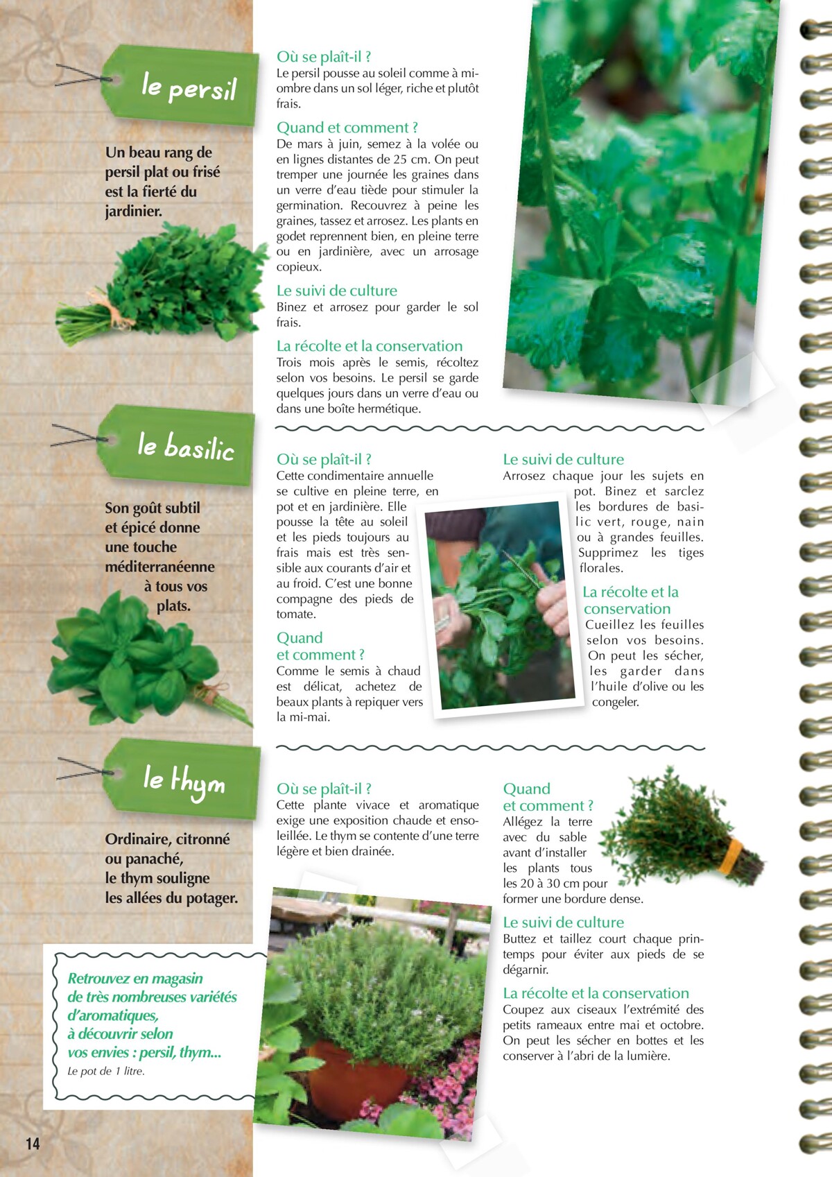 Catalogue Point Vert- Le Guide du potager, page 00014