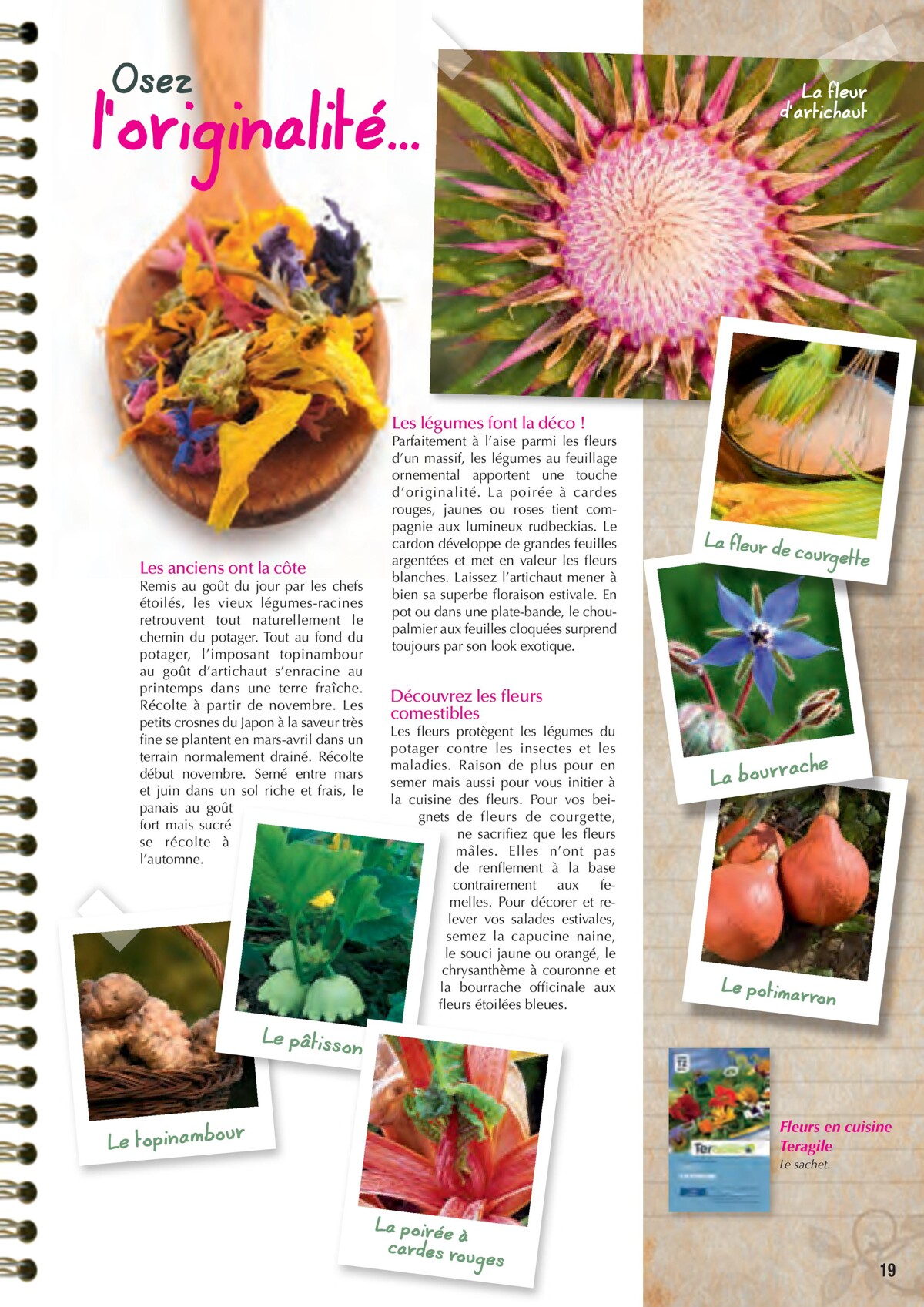 Catalogue Point Vert- Le Guide du potager, page 00019