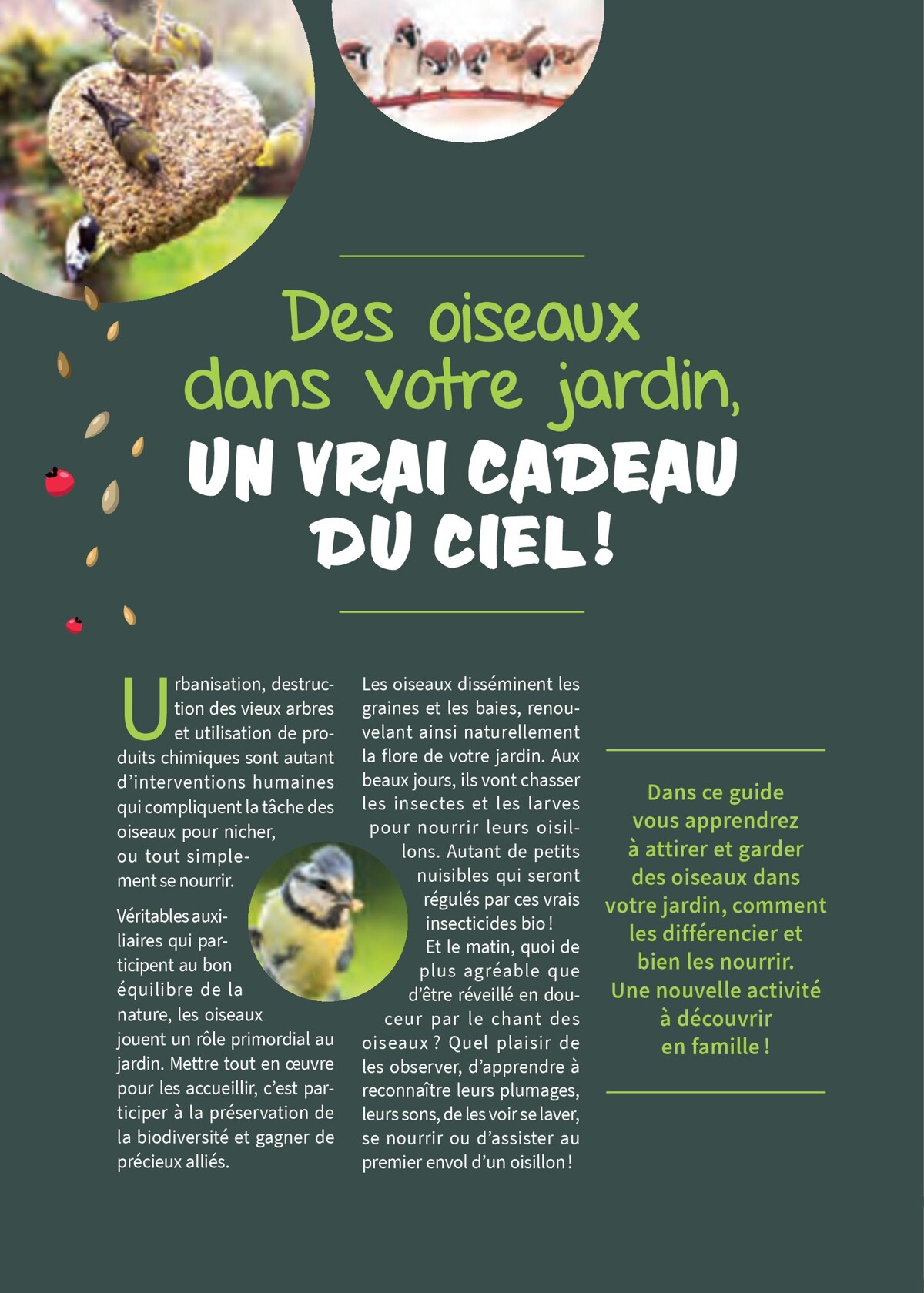 Catalogue Point Vert- Votre Jardin D´Oiseaux, page 00002