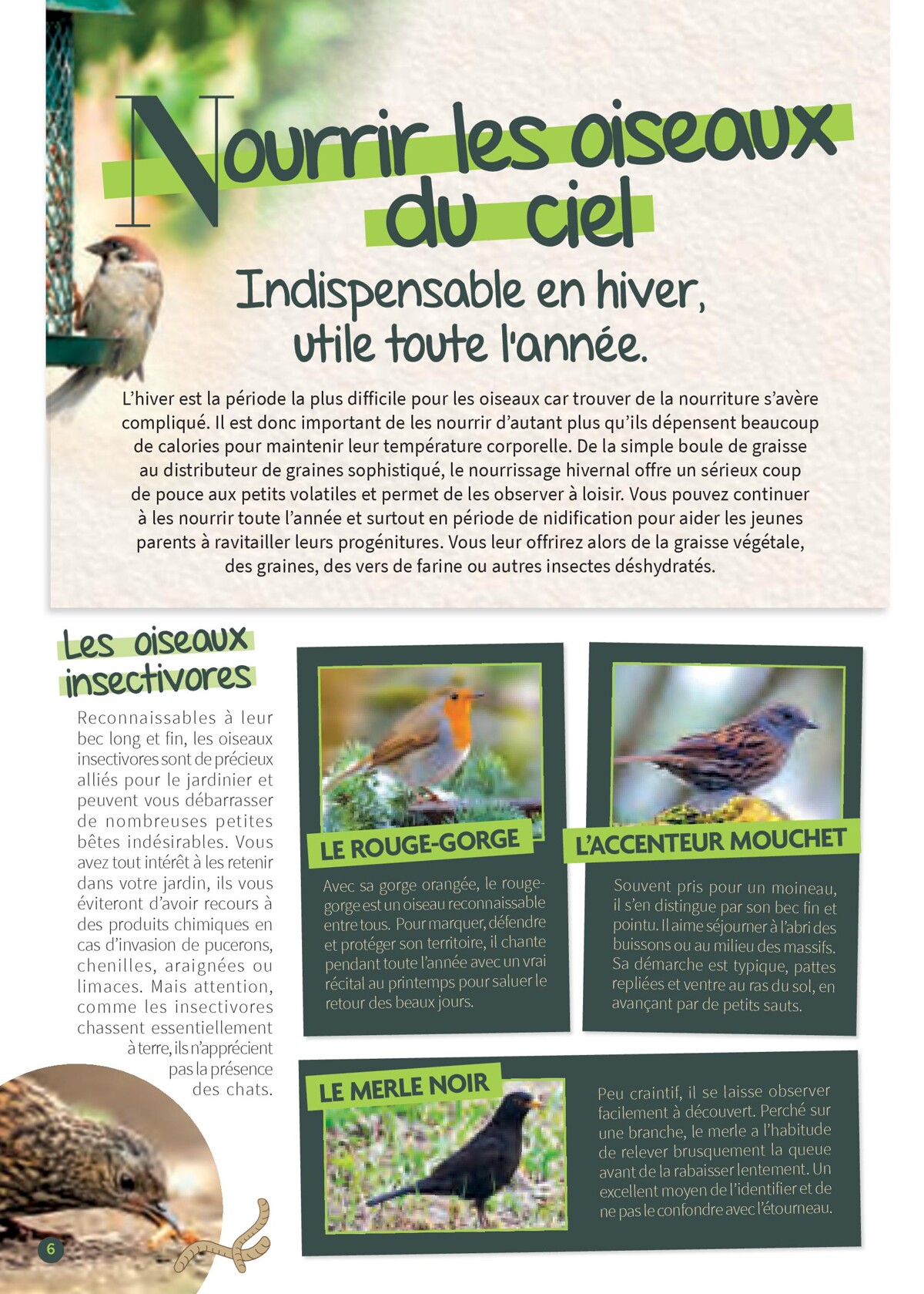 Catalogue Point Vert- Votre Jardin D´Oiseaux, page 00006
