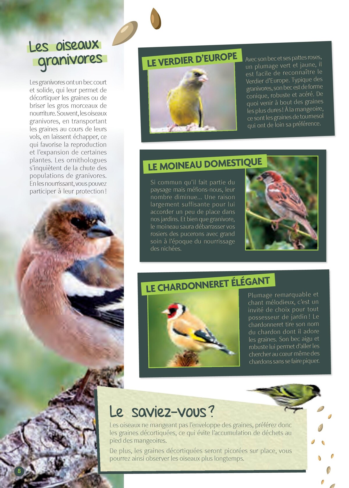 Catalogue Point Vert- Votre Jardin D´Oiseaux, page 00008