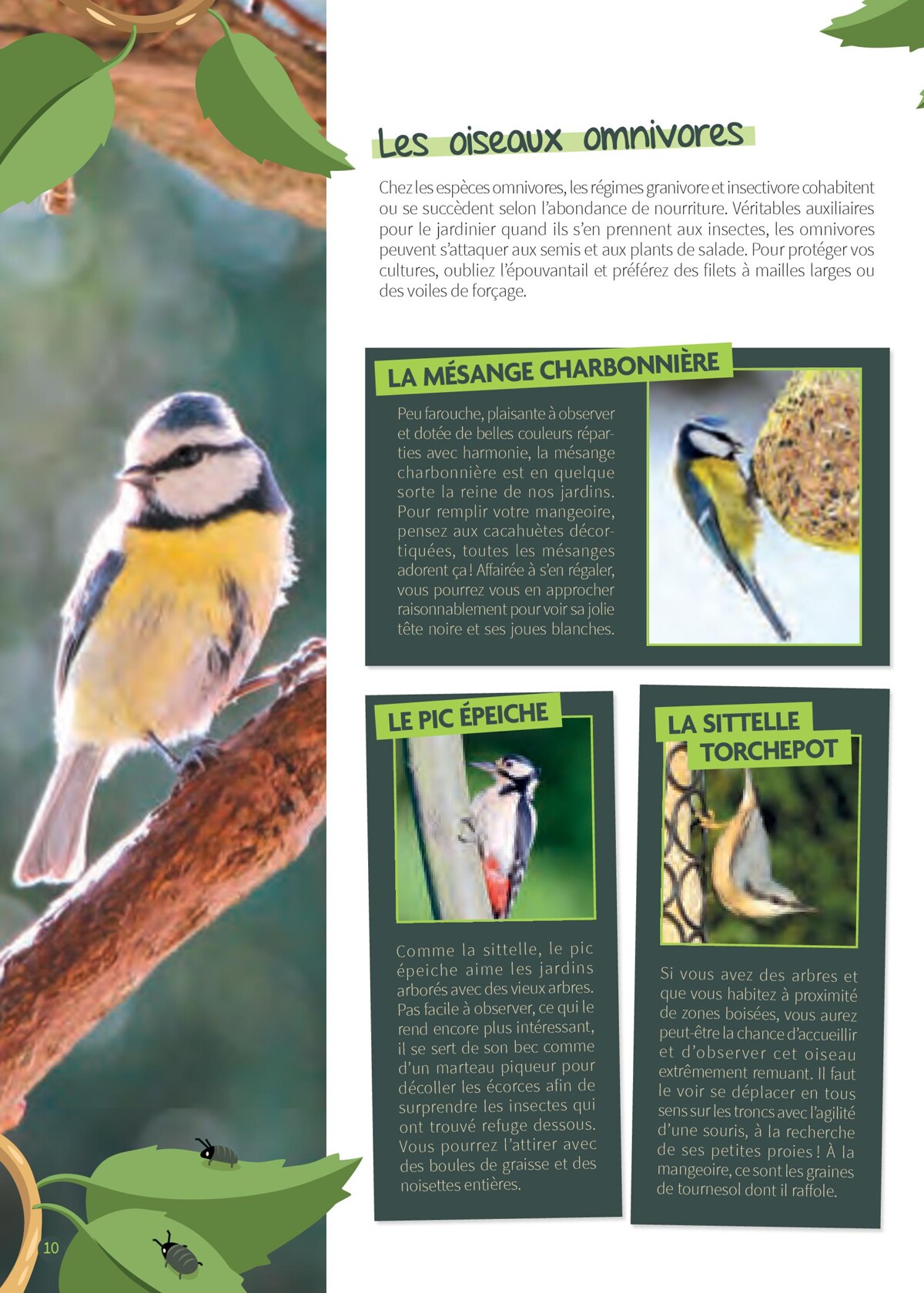 Catalogue Point Vert- Votre Jardin D´Oiseaux, page 00010