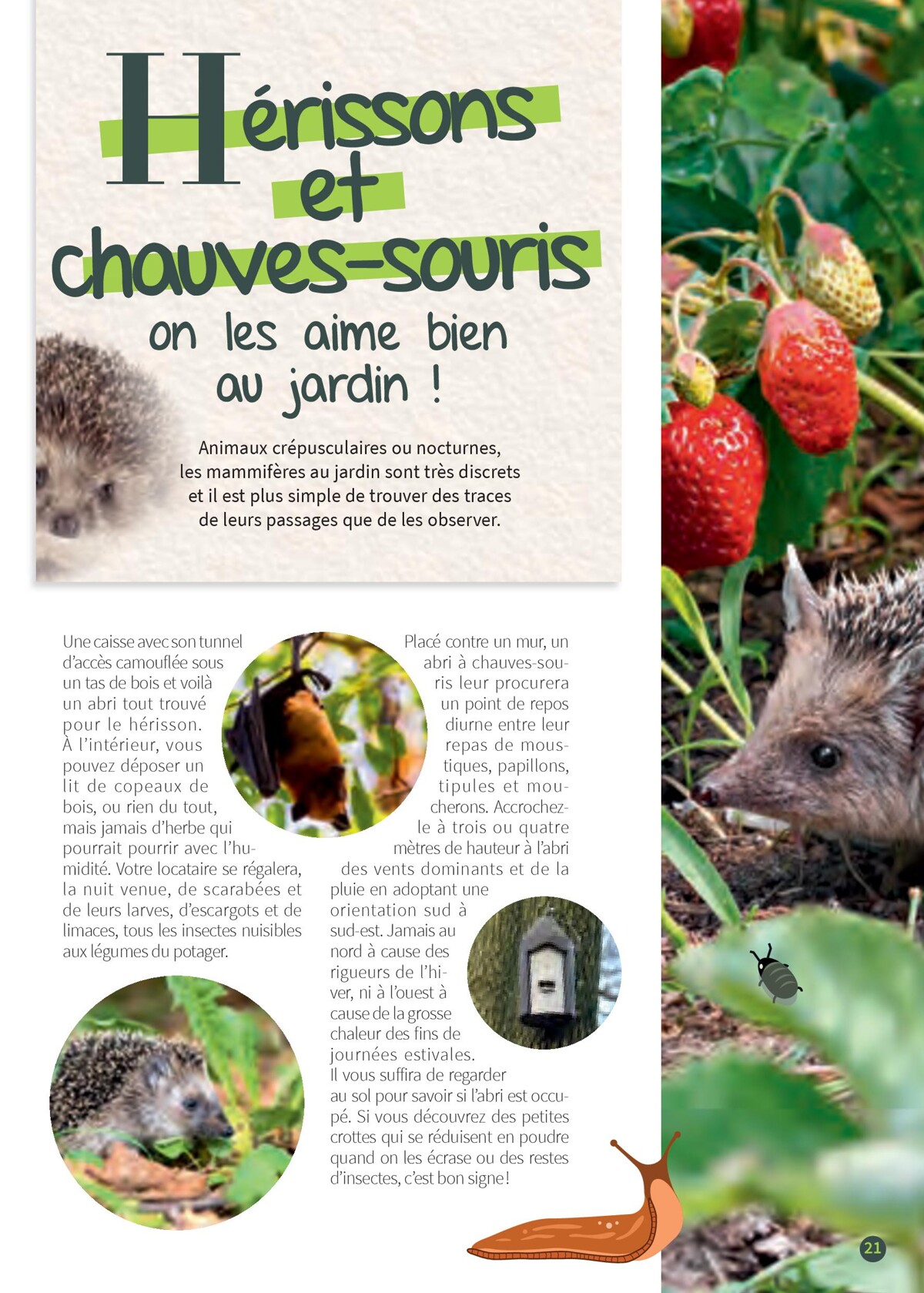 Catalogue Point Vert- Votre Jardin D´Oiseaux, page 00021