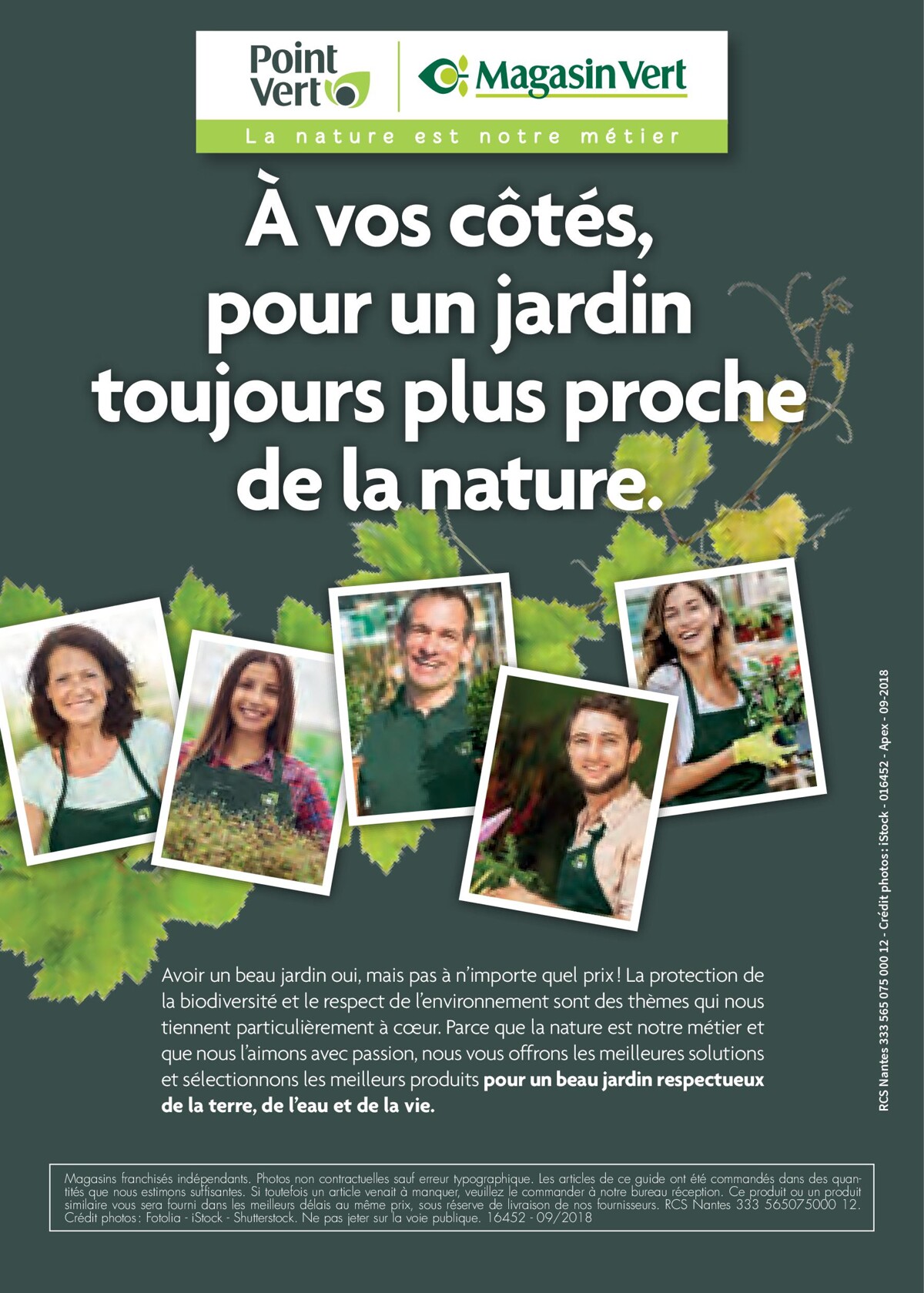 Catalogue Point Vert- Votre Jardin D´Oiseaux, page 00024