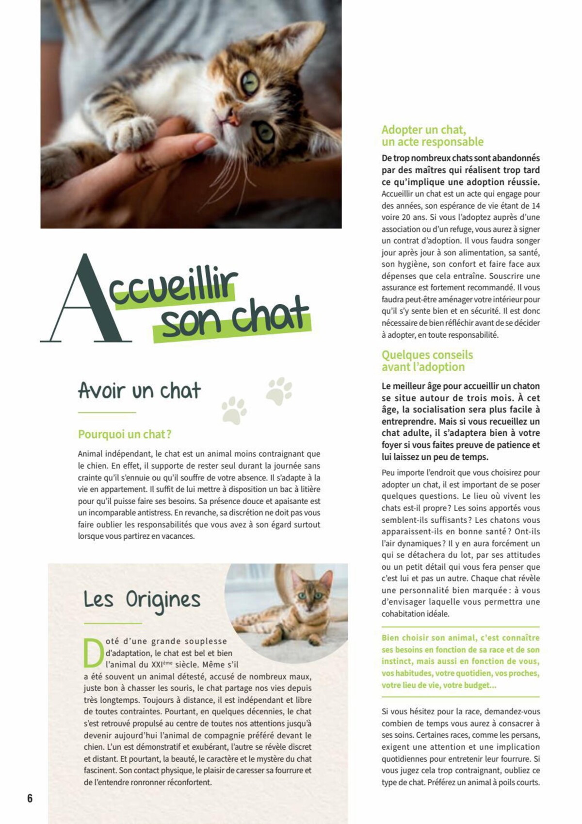 Catalogue Point Vert- Chiens & Chats, page 00006