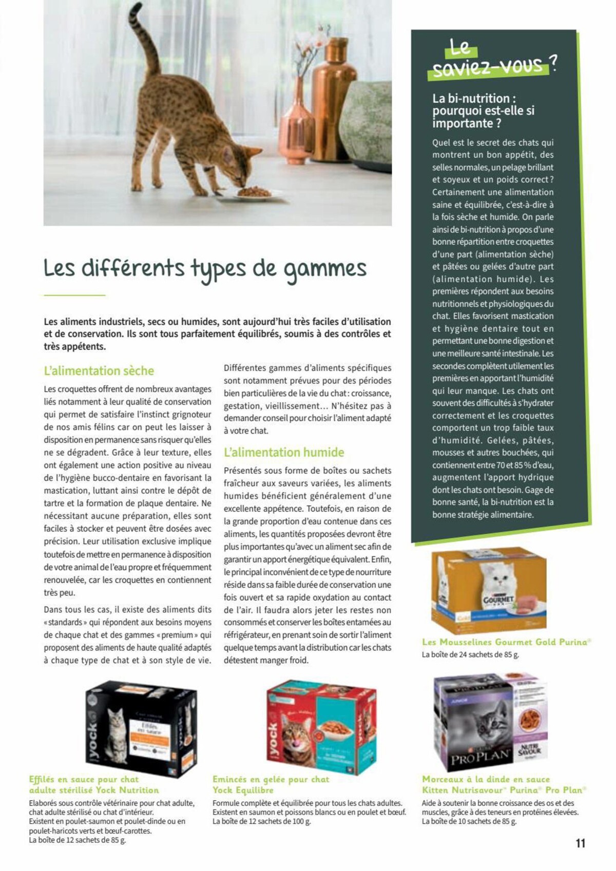 Catalogue Point Vert- Chiens & Chats, page 00011