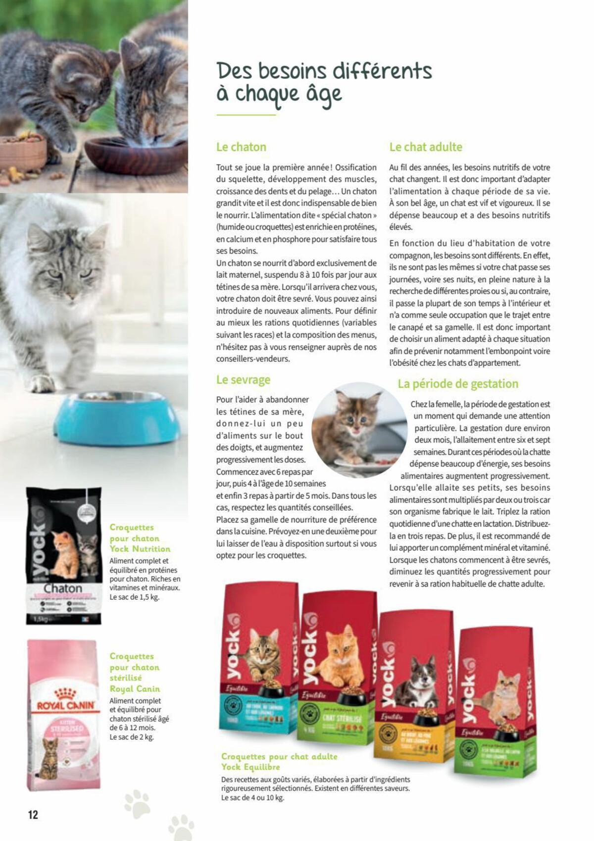 Catalogue Point Vert- Chiens & Chats, page 00012