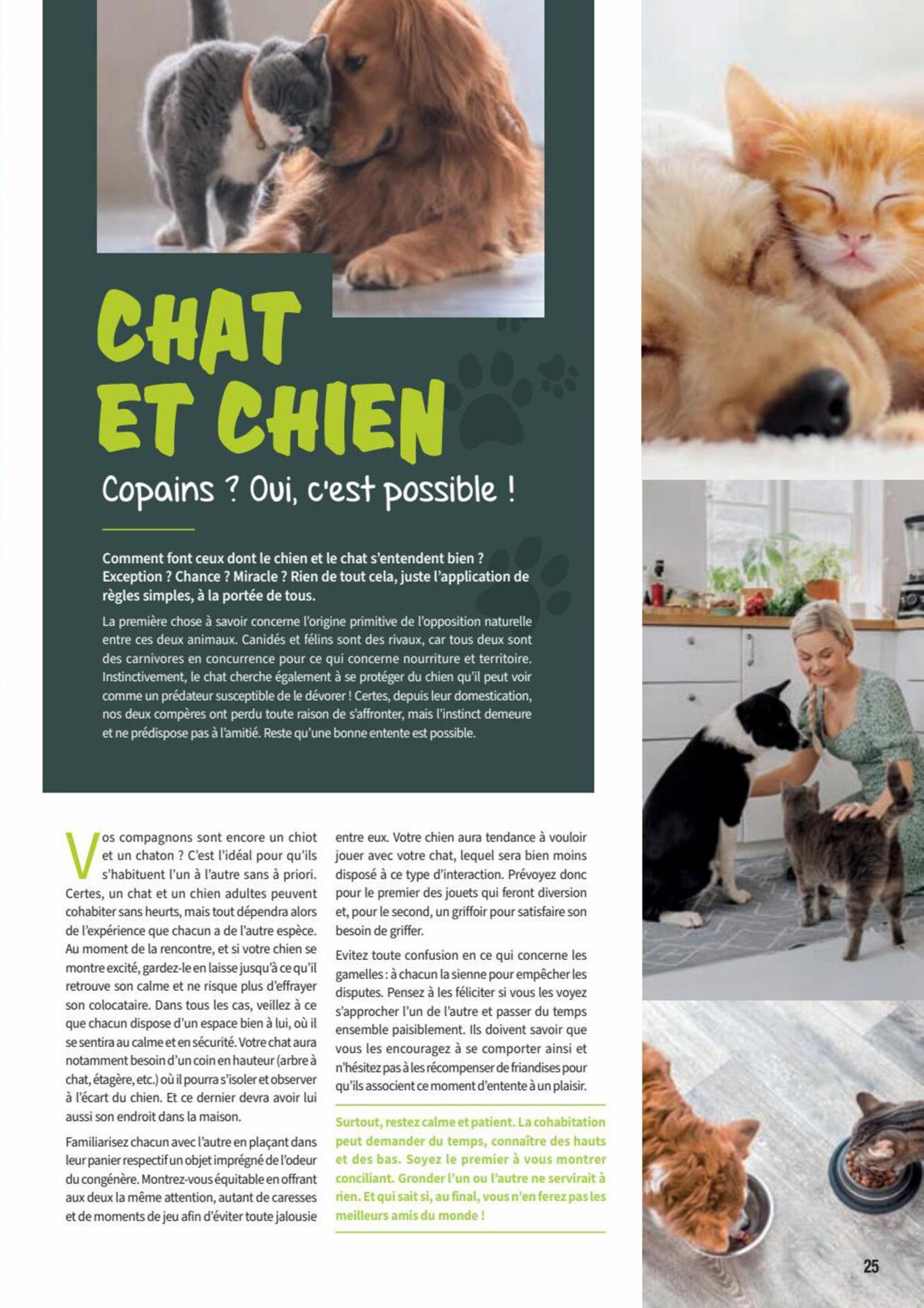 Catalogue Point Vert- Chiens & Chats, page 00025