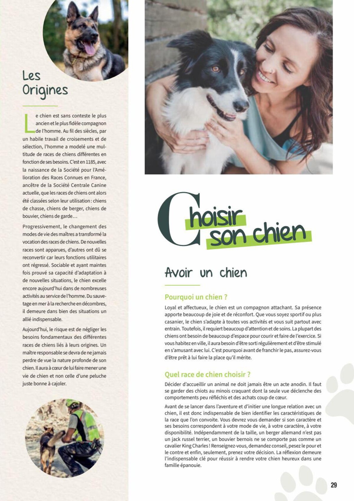Catalogue Point Vert- Chiens & Chats, page 00029