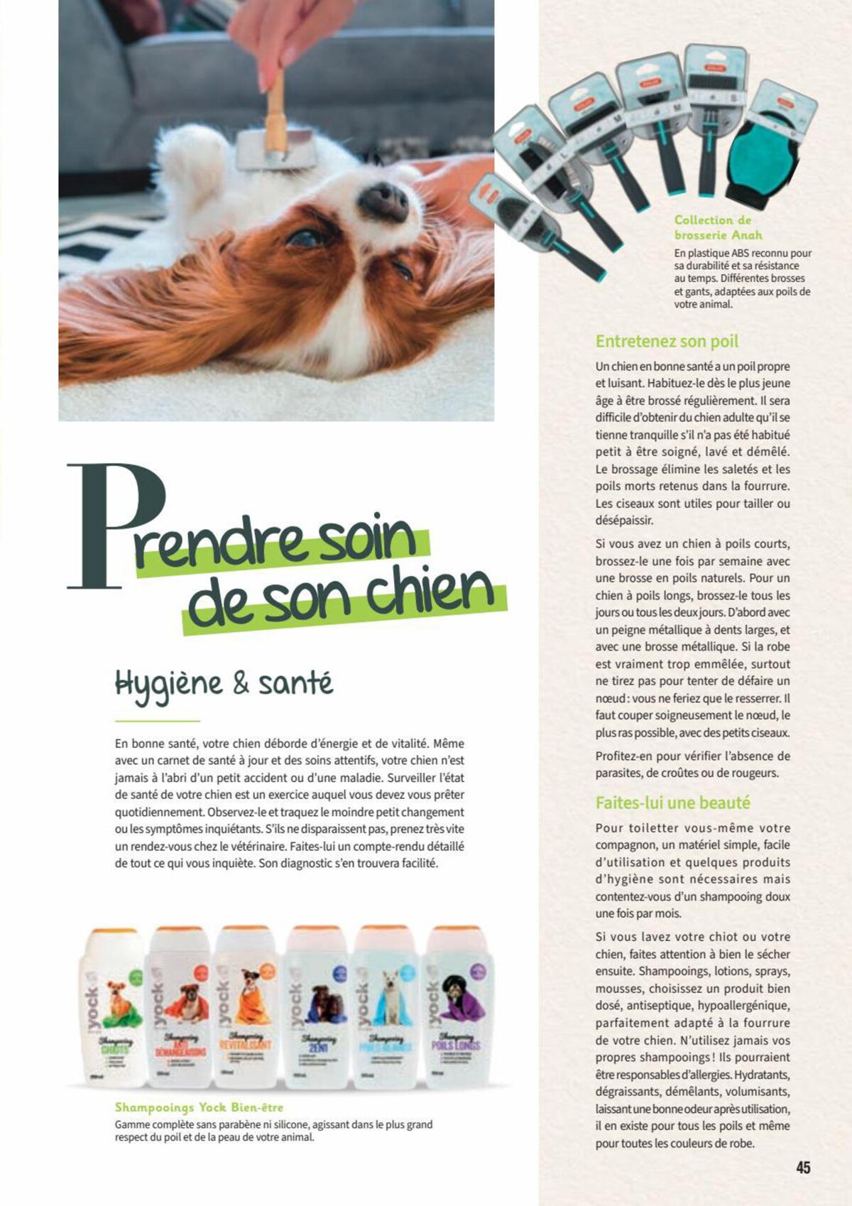 Catalogue Point Vert- Chiens & Chats, page 00045