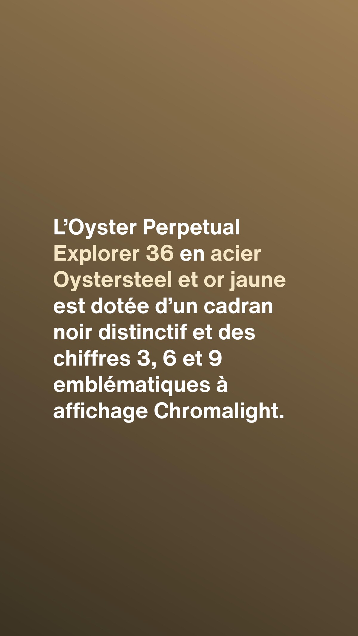 Catalogue Explorer 36- Rolex, page 00002
