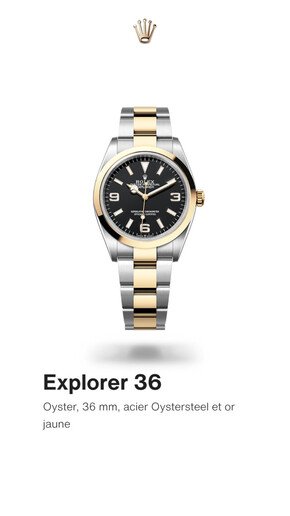 Promos de Mode | Explorer 36- Rolex sur Rolex | 26/05/2023 - 26/05/2024