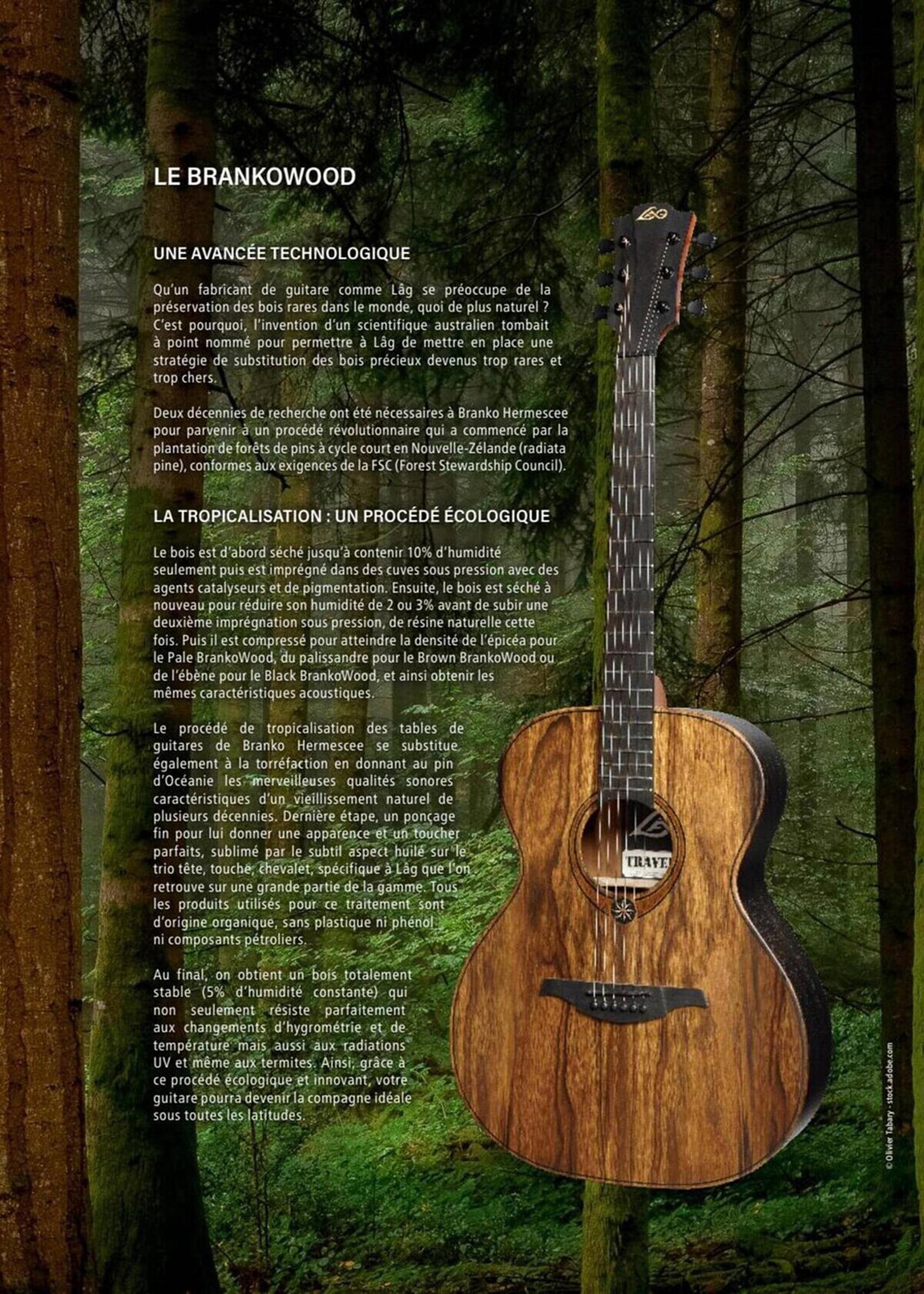 Catalogue Guitars, page 00009