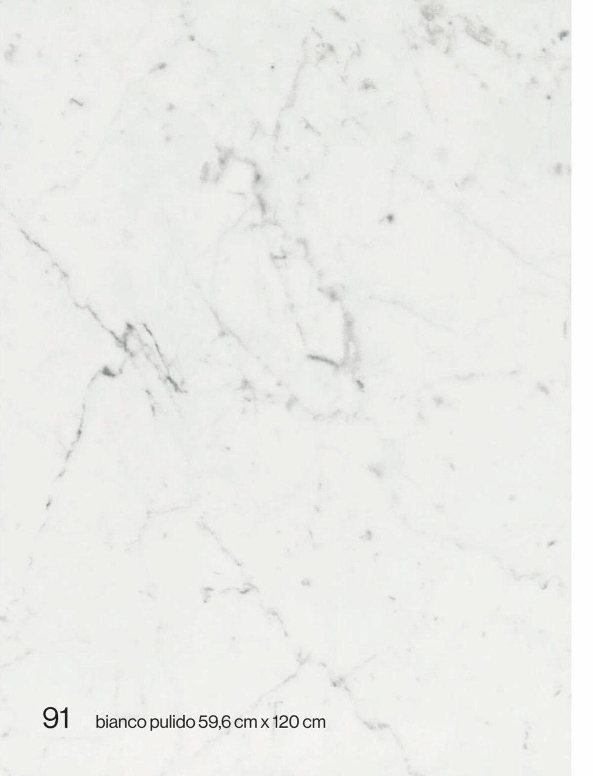 Catalogue MARMI,a ceramic tile that echoes the purity of marble, page 00091