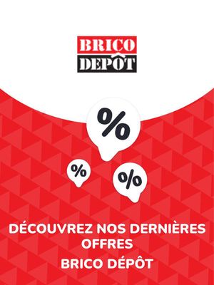 Catalogue Offres Brico Dépôt, page 00001