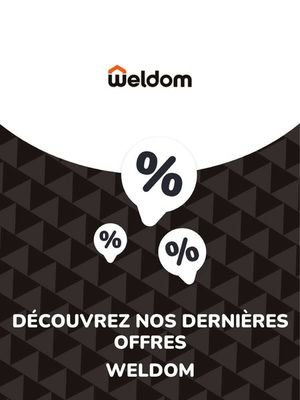 Catalogue Weldom à Paris | Offres Weldom | 09/08/2023 - 09/08/2024
