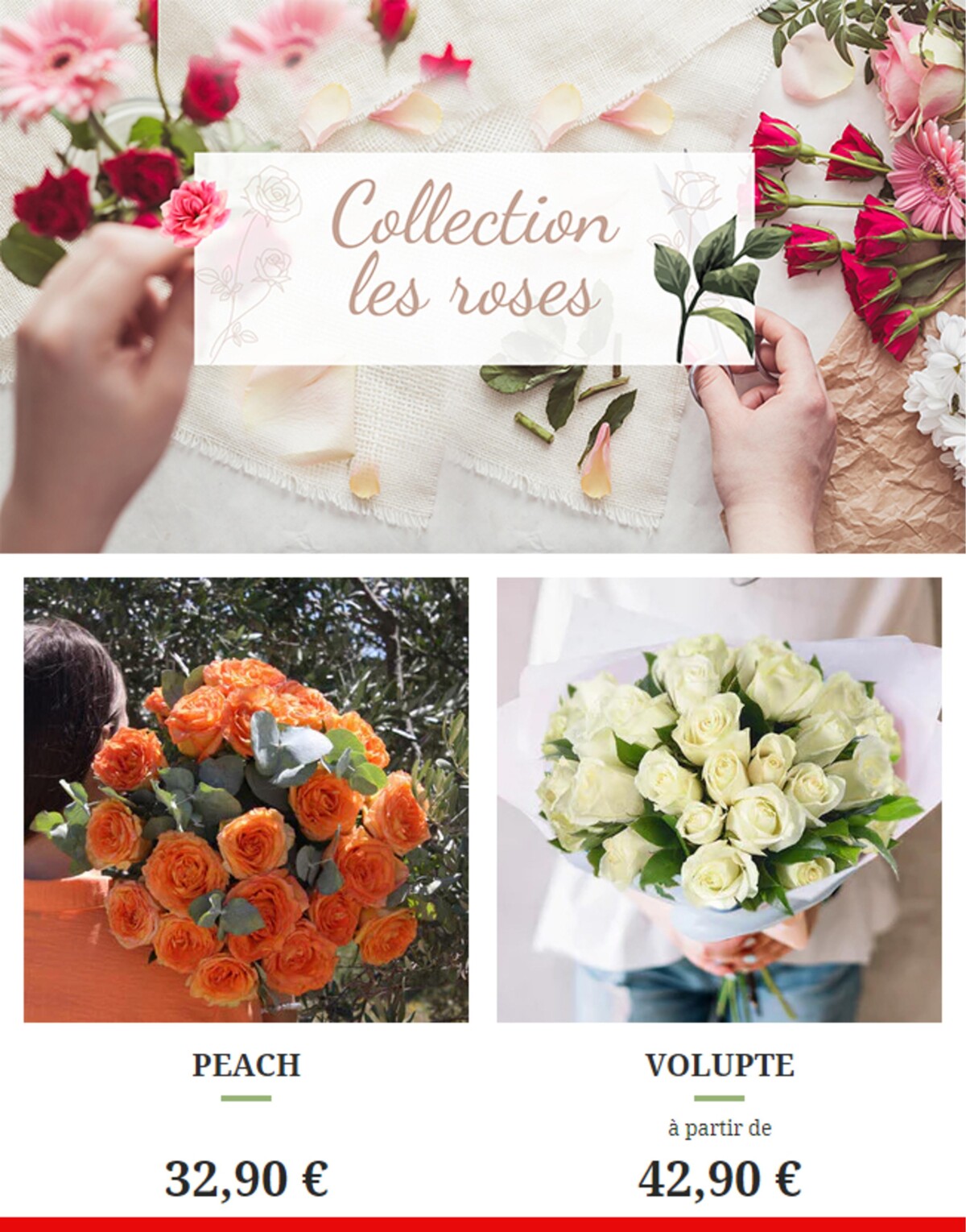 Catalogue Sainte Rose Collection, page 00004