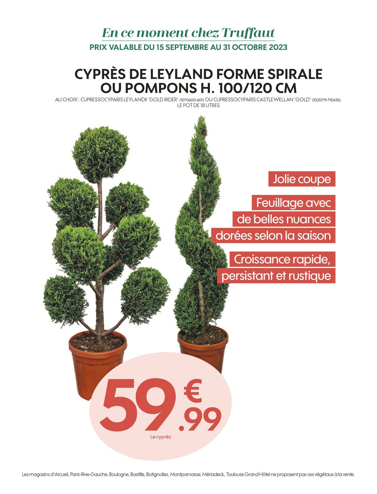 Catalogue Truffaut Magazine 92, page 00035