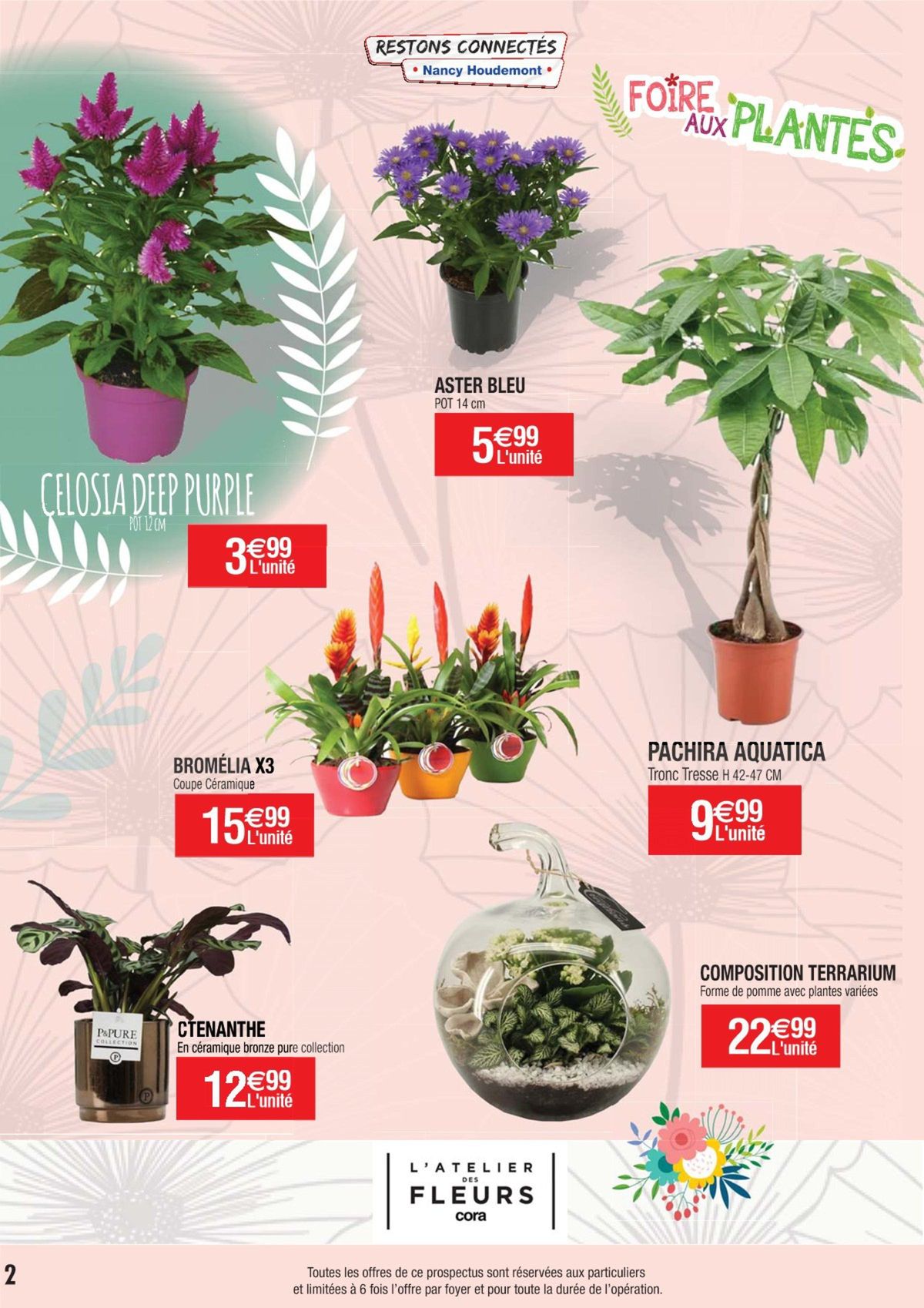 Catalogue Foire aux plantes, page 00002