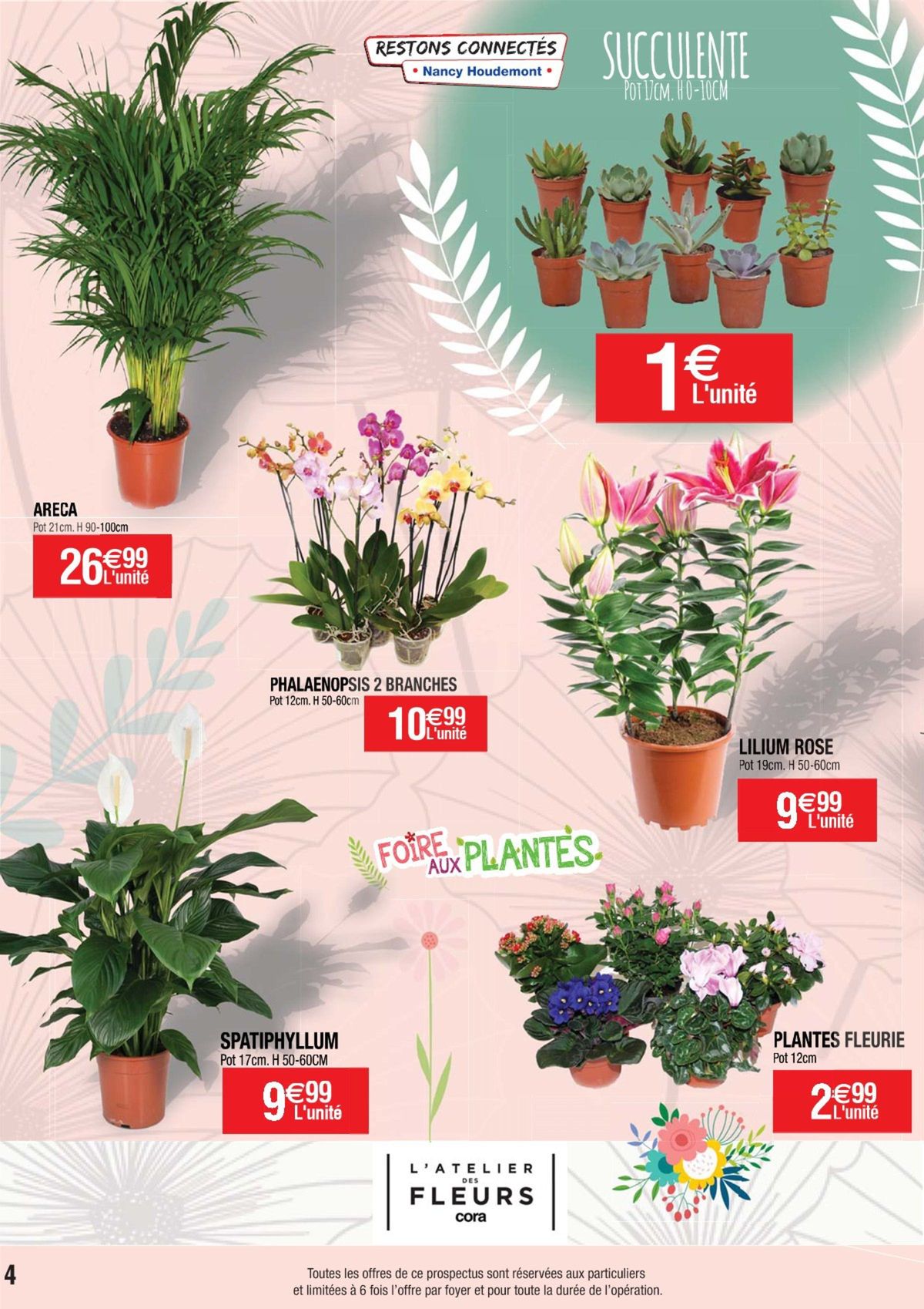 Catalogue Foire aux plantes, page 00004