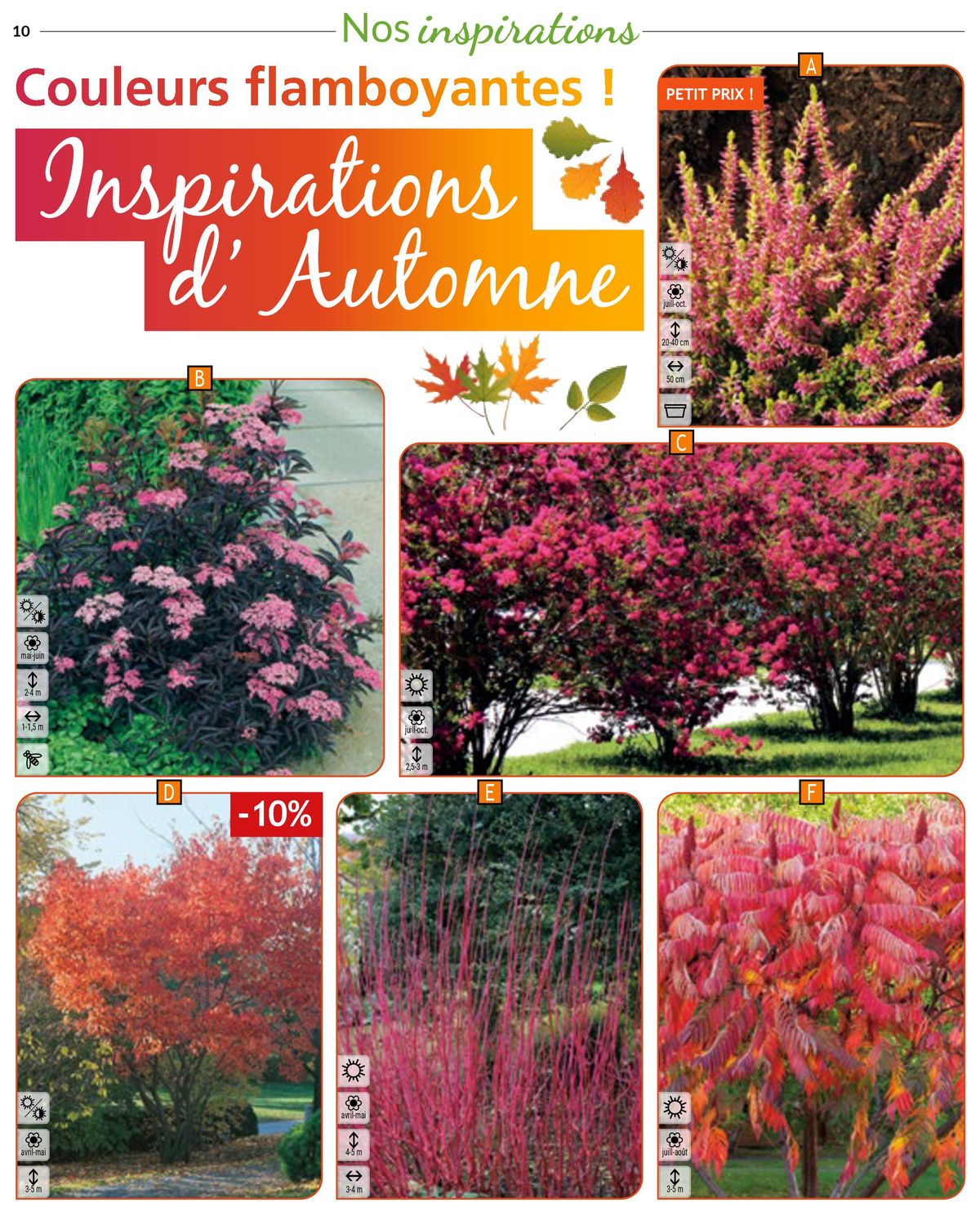 Catalogue Révélez le potentiel Catalogue n°128 Automne-Hiver 2023 de votre jardin , page 00010