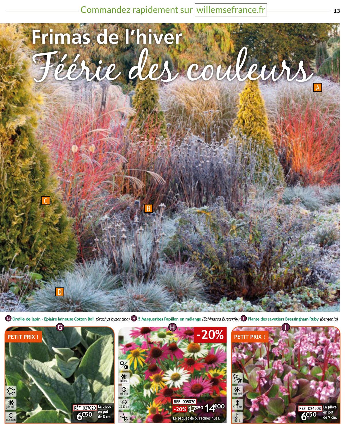 Catalogue Révélez le potentiel Catalogue n°128 Automne-Hiver 2023 de votre jardin , page 00013