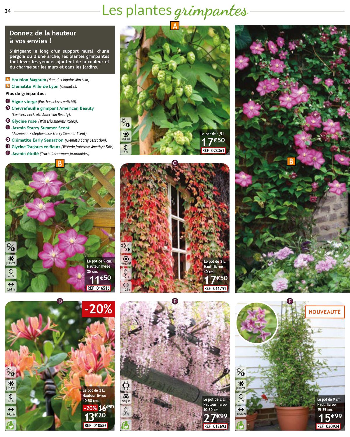 Catalogue Révélez le potentiel Catalogue n°128 Automne-Hiver 2023 de votre jardin , page 00034
