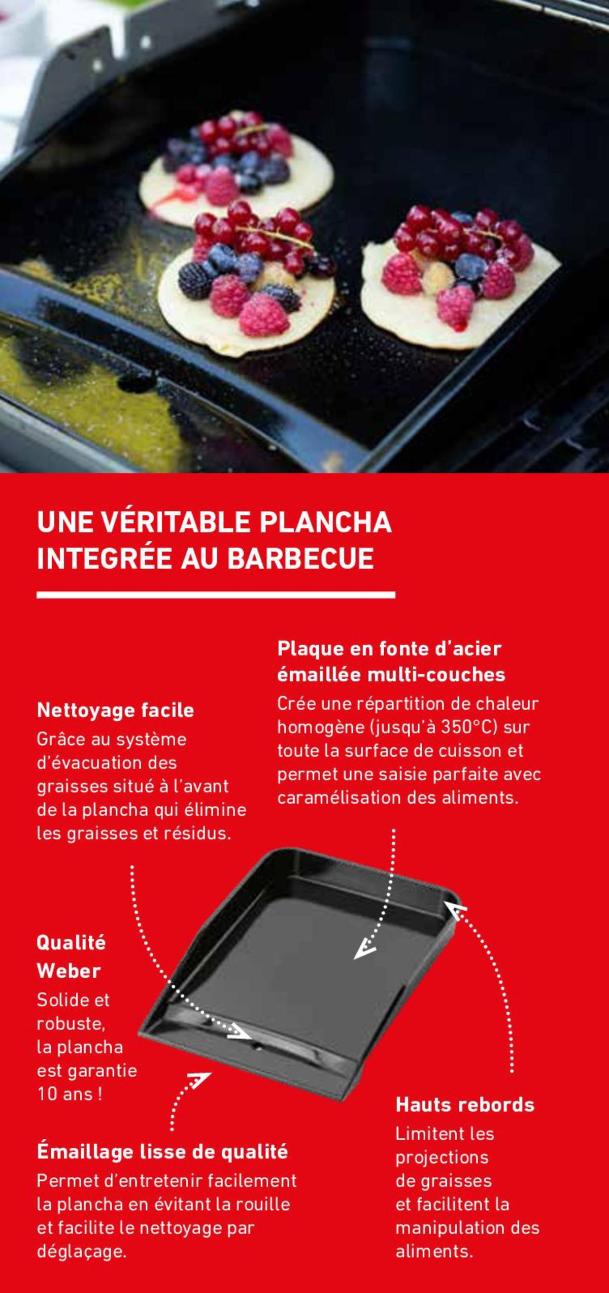 Catalogue Le combine barbecue-plancha !, page 00005