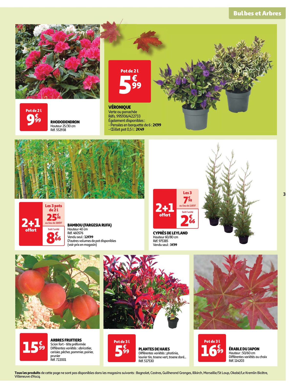 Catalogue Tous au jardin pour fêter l'automne !, page 00003