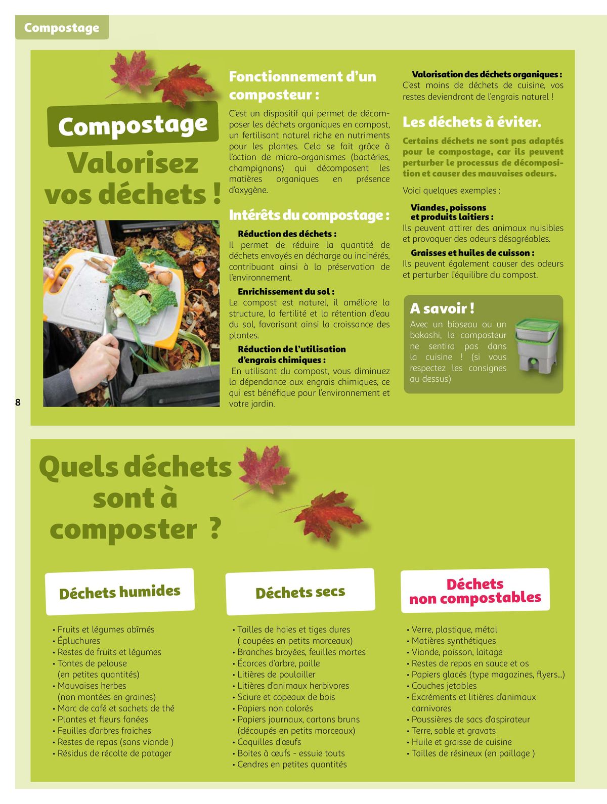 Catalogue Tous au jardin pour fêter l'automne !, page 00008