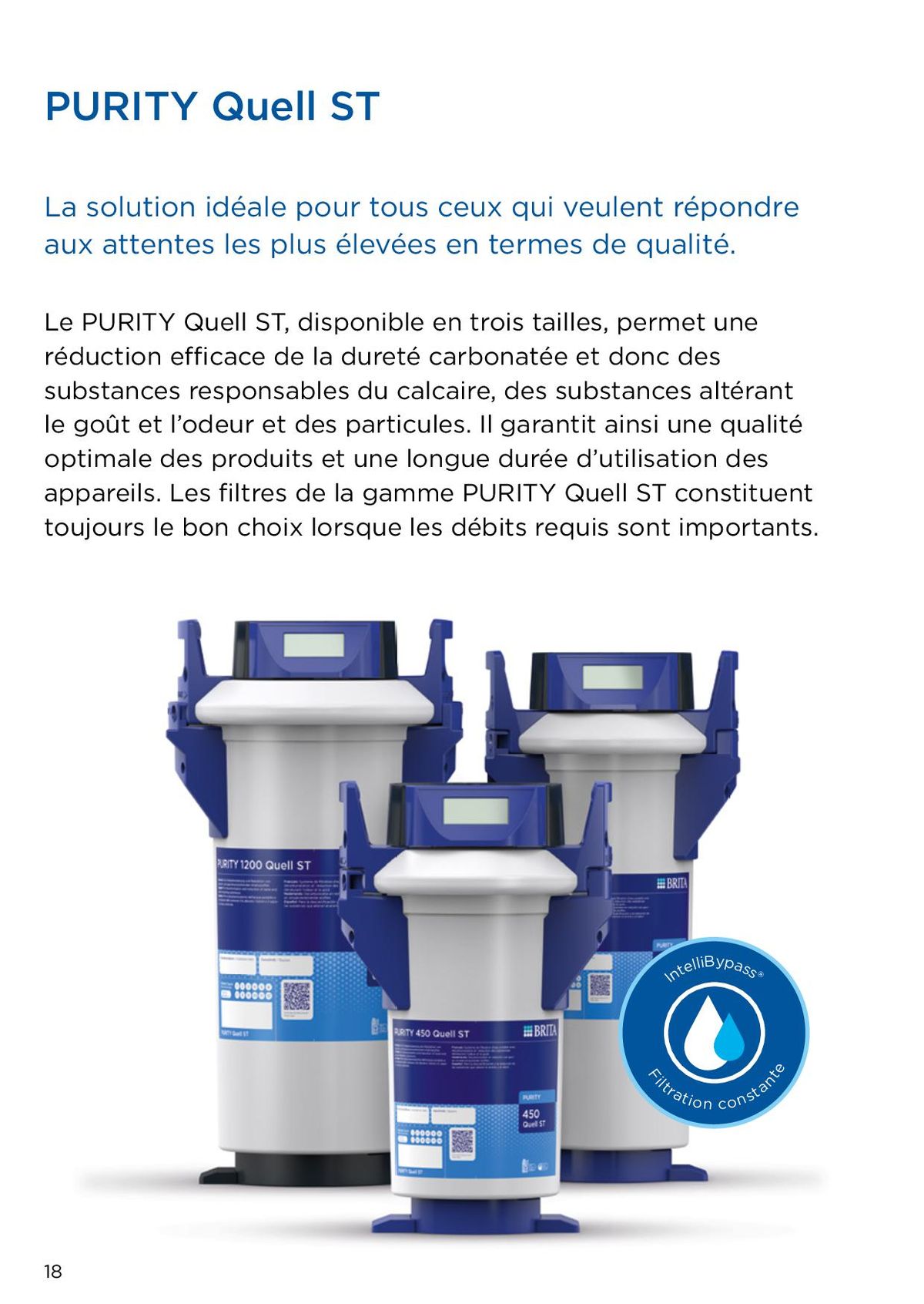 Catalogue Des solutions professionnelles pour une eau optimale, page 00018