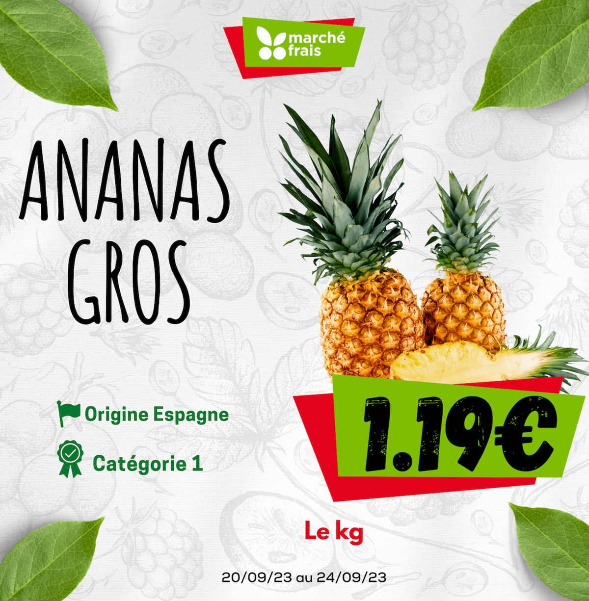 Catalogue Ananas gros, page 00001
