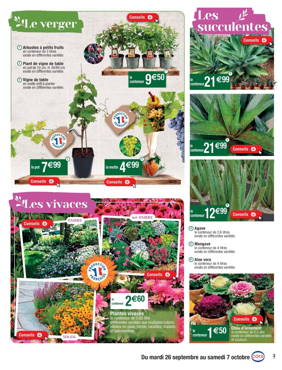 Catalogue Des prix fleuris pour votre jardin, page 00003