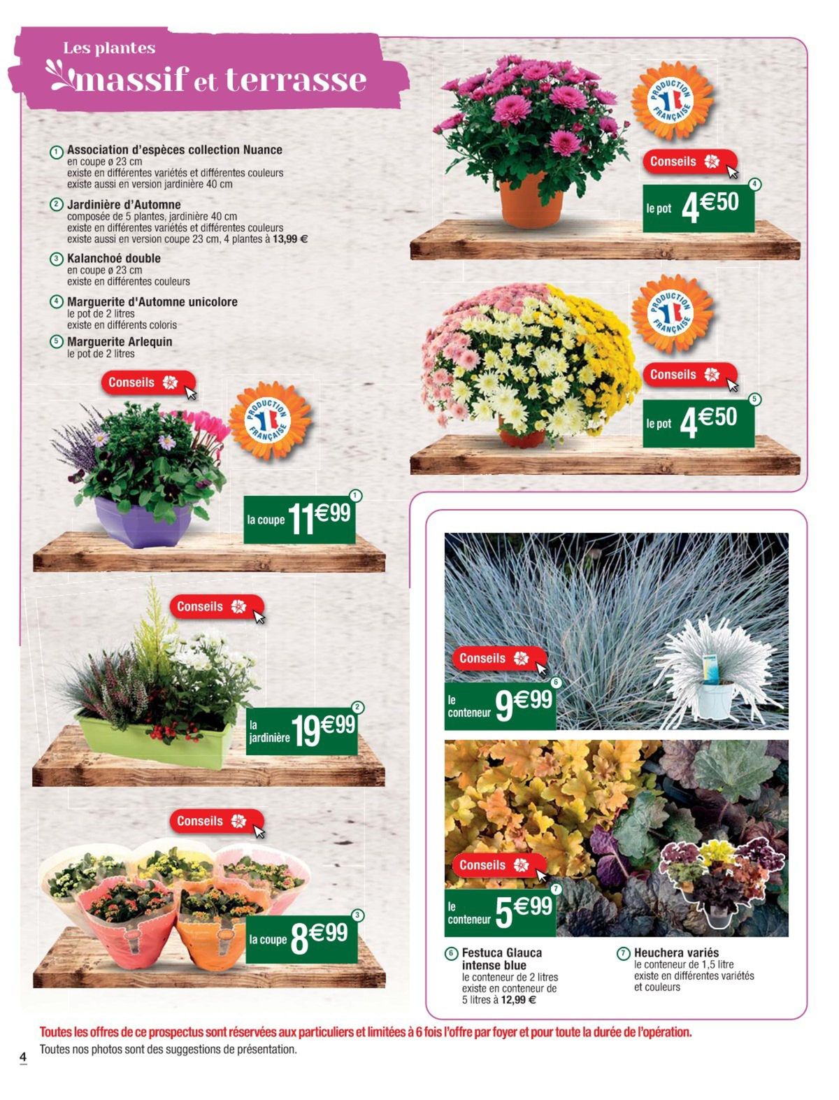Catalogue Des prix fleuris pour votre jardin, page 00004