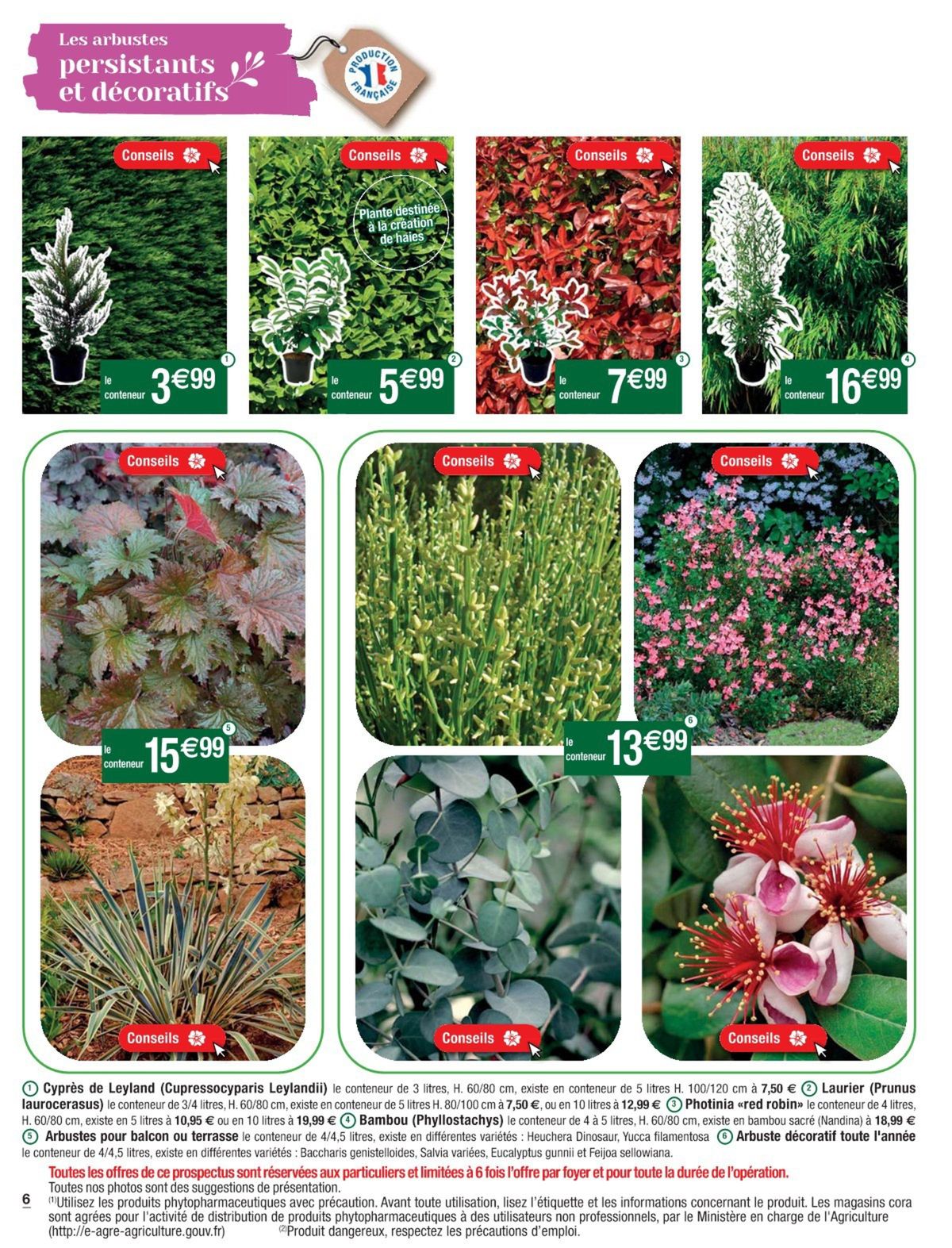 Catalogue Des prix fleuris pour votre jardin, page 00006
