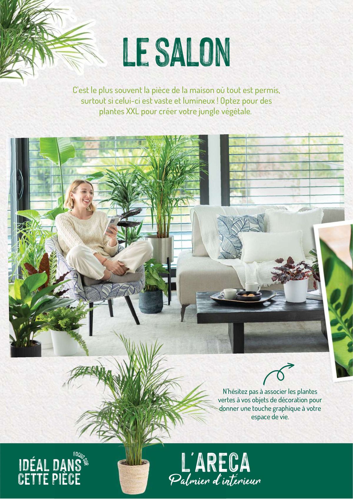 Catalogue Quelles plantes vertes por quelles pièces de la maison?, page 00006