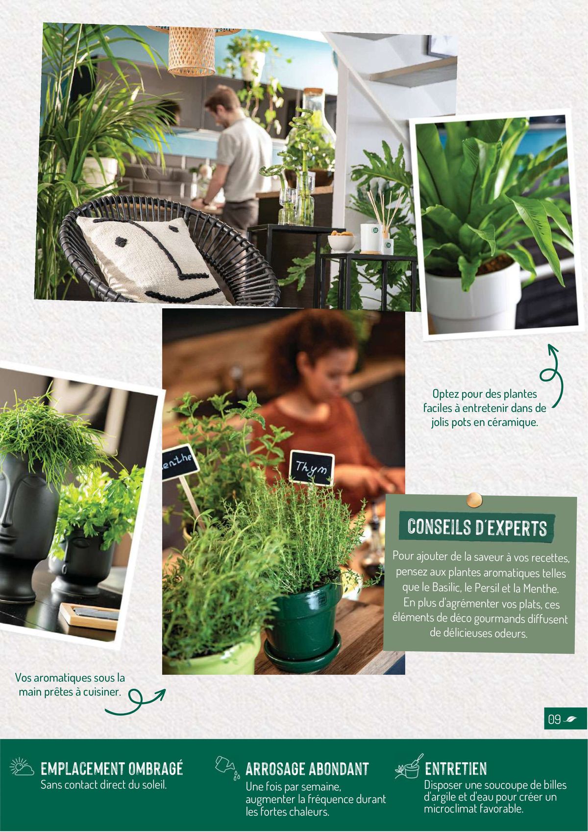 Catalogue Quelles plantes vertes por quelles pièces de la maison?, page 00009