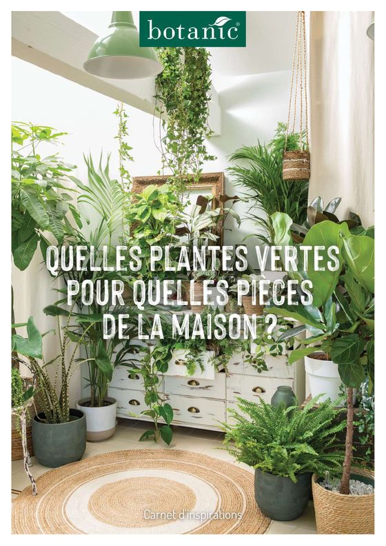 Catalogue Botanic à Lyon | Quelles plantes vertes por quelles pièces de la maison? | 25/09/2023 - 14/10/2023