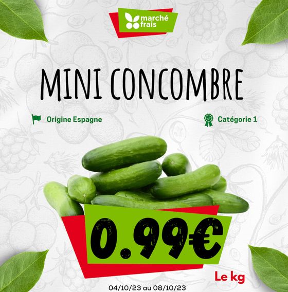 Mini concombre