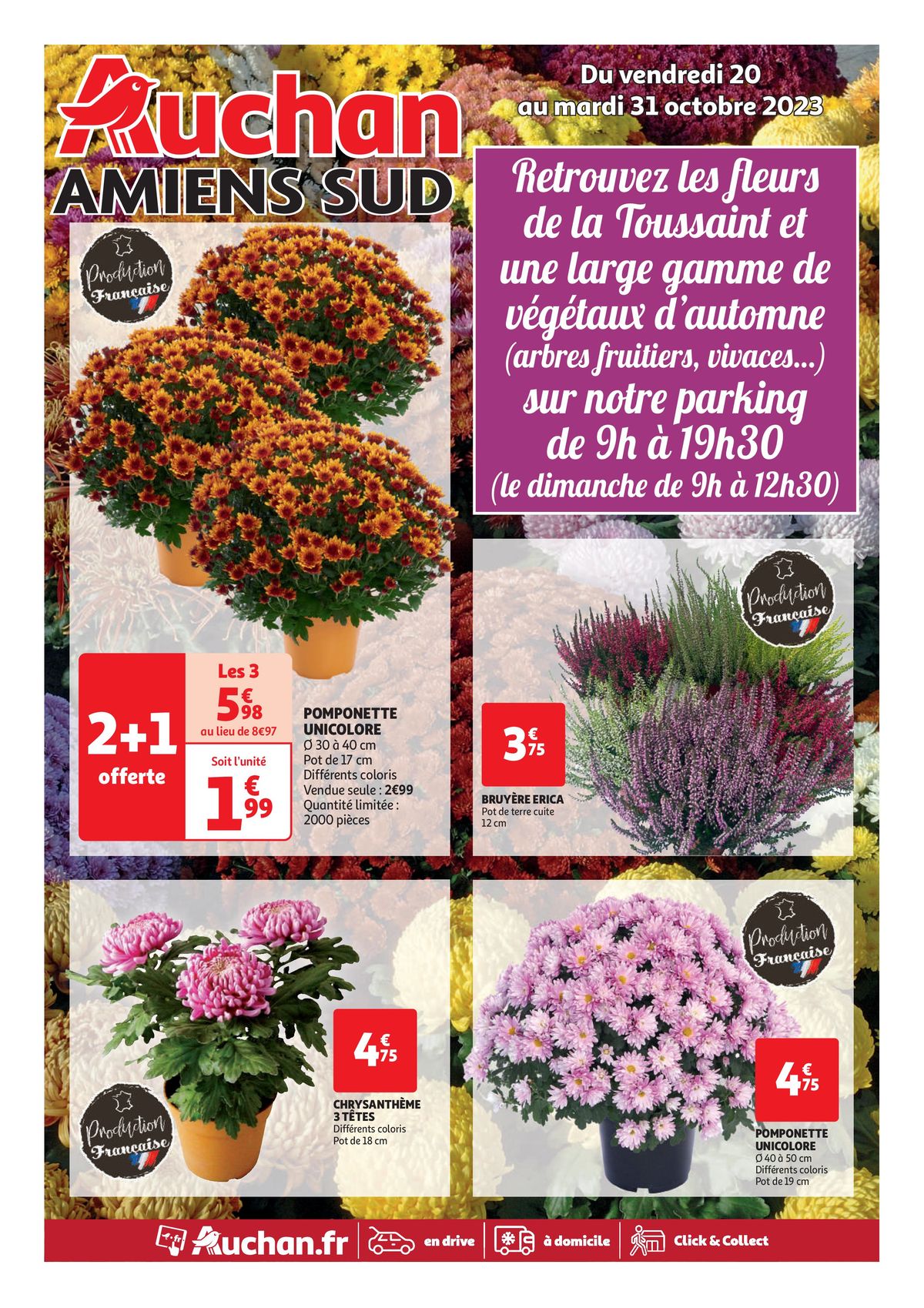 Catalogue Fleurs de la Toussaint, page 00001