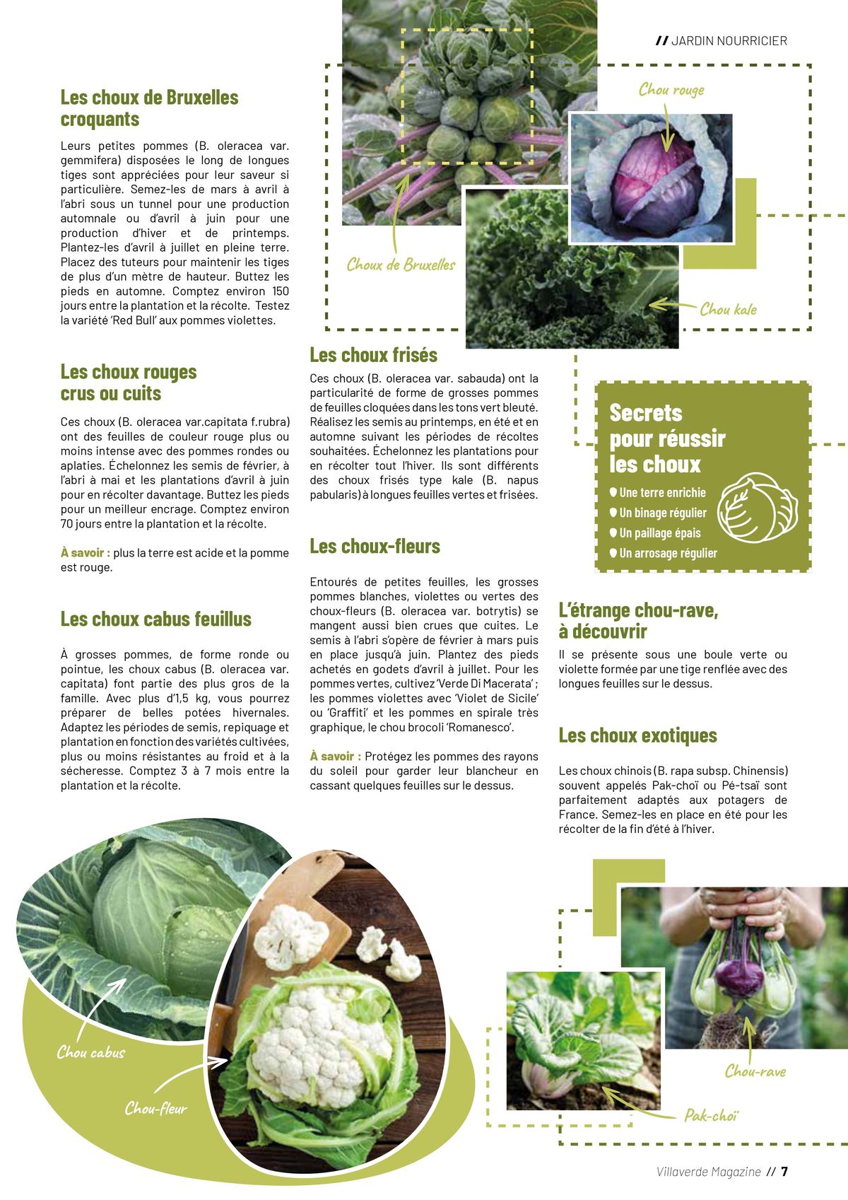 Catalogue Plantes, page 00007