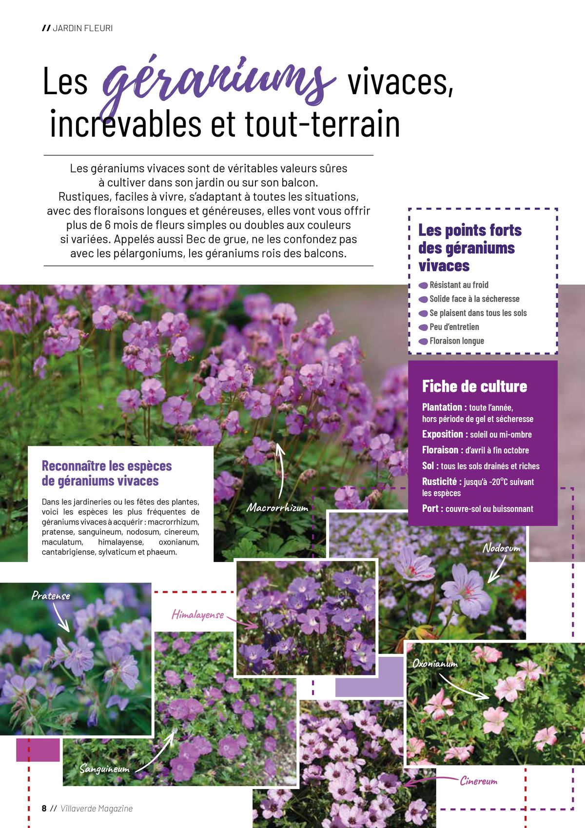 Catalogue Plantes, page 00008